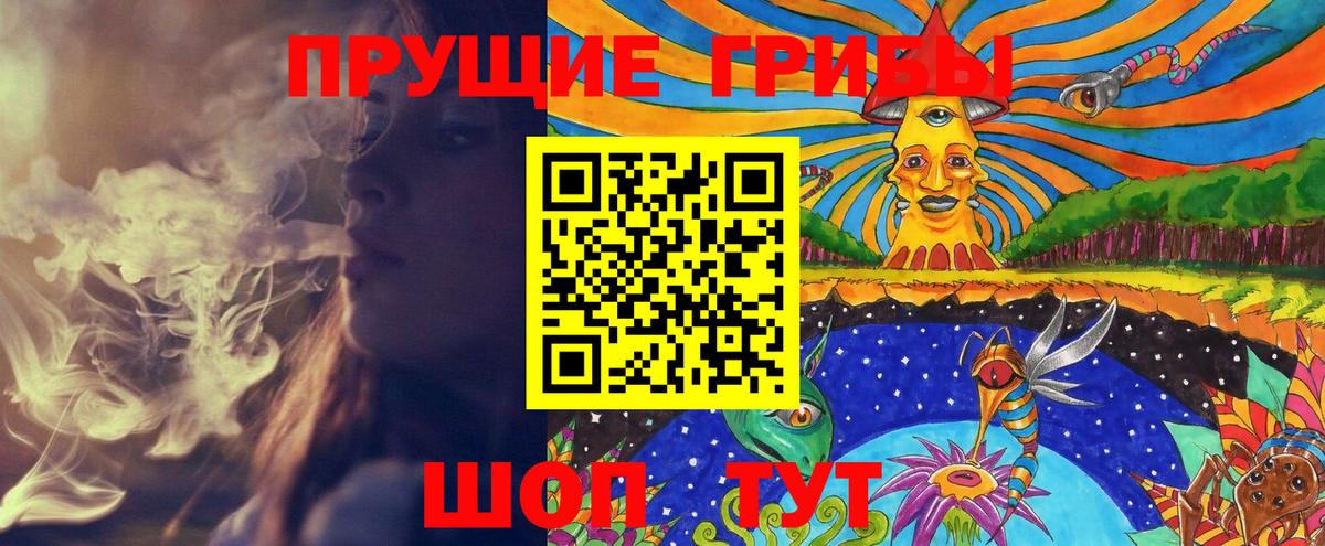 Богородск  купить наркотики сайты  Вход с VPN  Псилоцибиновые грибы ЛСД 