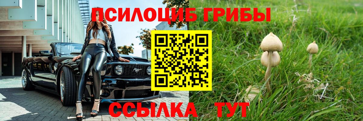 Псилоцибиновые грибы мухоморы Богородск